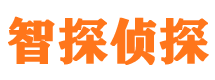 陈仓外遇调查取证